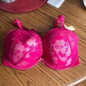 Bold Lace Plunge Bra